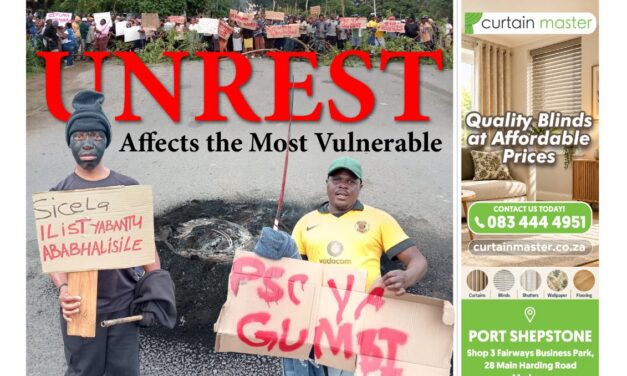 Welcome to our sixth edition of the South Coast Weekly, your free digital newspaper